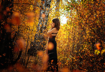 woman in the park, woman in the forest, a girl walks in the golden autumn forest, a girl walks in the autumn park, a woman in the autumn park, woman, autumn, young, nature, park, beauty, beautiful