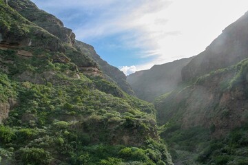 Naturaleza de la isla de Tenerife, bosque húmedo del norte. Montaña y un barranco muy escarpados con niebla en la isla de Tenerife, Islas Canarias, España.
