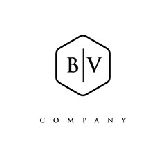 initial BV logo design vector