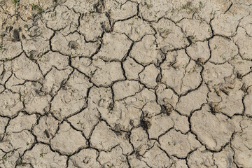 Dry gray-brown desert land. World drought. Arid areas of the earth, long lack of rain.