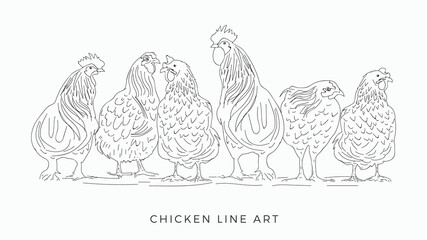 Fototapeta na wymiar Chicken line art set