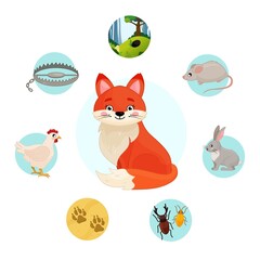 Naklejka premium Vector illustration of forest animals. Cute cartoon fox. Set of icons. 