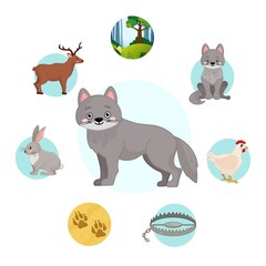 Vector illustration of forest animals. Cute cartoon wolf. Set of icons. 