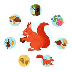 Vector illustration of forest animals. Cute cartoon squirrel. Set of icons. 