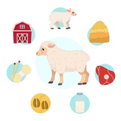 Vector illustration of farm animals. Cute cartoon sheep. Set of icons. Benefits of farm animals
