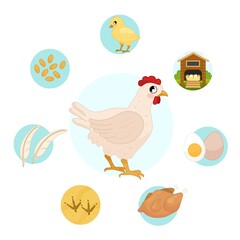 Vector illustration of farm animals. Cute cartoon hen. Set of icons. Benefits of farm animals
