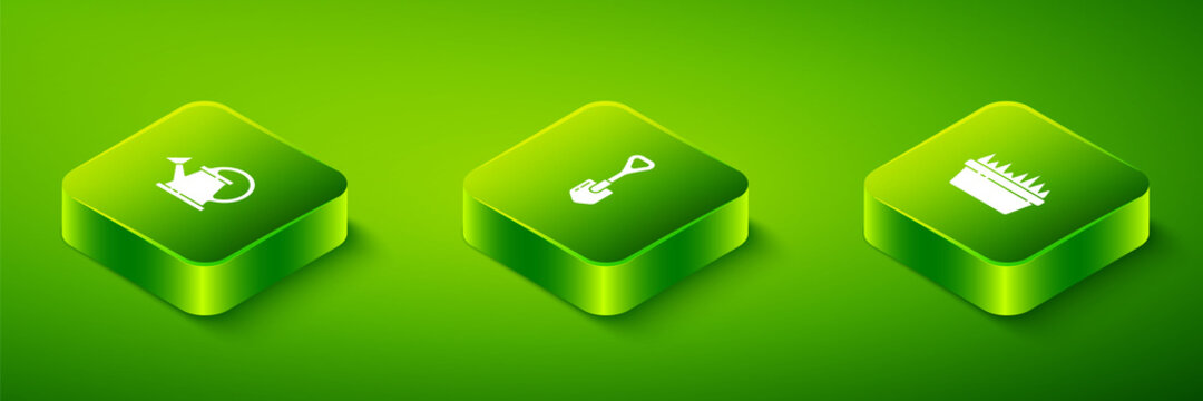Set Isometric Shovel, Fresh grass in a rectangular and Watering can icon. Vector