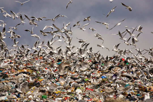 Refuse Tip Bilder Stock Fotos Videos Adobe Stock Refuse Tip Bilder Stock Fotos Videos Adobe Stock