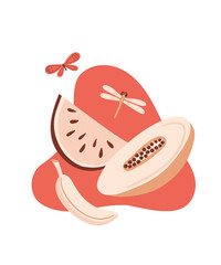 Vector summer illustration with melon, papaya, watermelon, banana and dragonfly. For print, poster and card.