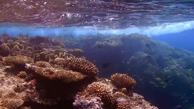 very strong waves over beautiful corals while snorkeling in the red sea