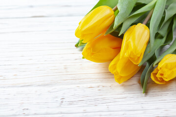 Five buds of yellow tulips close-up on a white wooden background