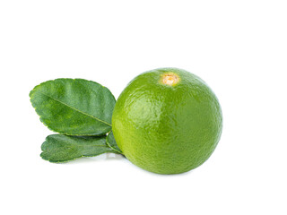 fresh green lemon and its leaves isolated