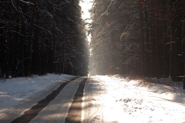 Winter Forest Road, copy space, use as background