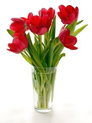 posy of pretty multicolor tulips close up