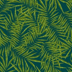 Fototapeta na wymiar Leaf of a palm tree growing in a green tropical forest. Seamless background with pattern.