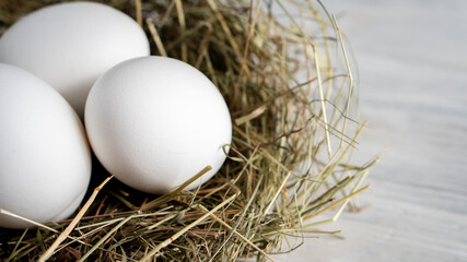 Closeup raw white brown organic fresh eggs shell with yolk from happy chicken hen free range farm on nature hatch grass straw nest healthy protein food symbol of spring season birth easter festival