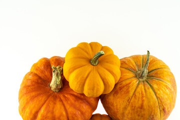 three fresh orange pumpkins two large and one small on an isolated background