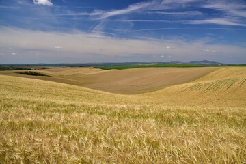 Yellow and brown fields in South Moravia with blue skies, Czech Republic.