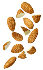 almond nut food healthy organic natural ingredient snack isolated seed brown fruit closeup nutrition group