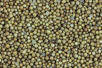 coriander seeds dried background seasoning texture natural