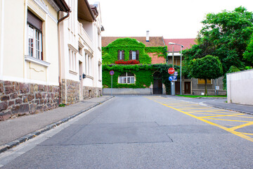 Low section of cozy street with building facade covered with ivy