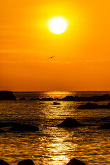 オレンジの時間