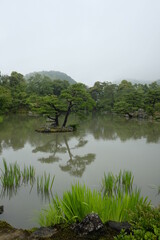 lake in japanese gardern