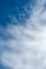 Colorful Kites flying over the sky