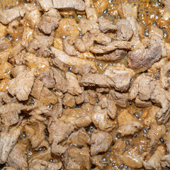 Paprikash meat chopped pieces grilled on the background cooking