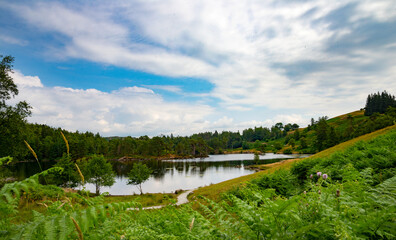 Tarn Hows Lake near Coniston, Lake District , Cumbria, England, UK