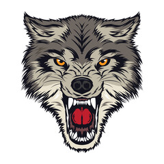 Angry Wolf face vector, perfect for tshirt design, zoo logo, merchandise also school team mascot logo