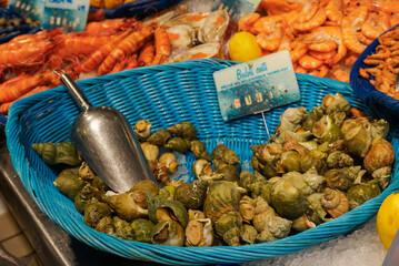 Snails in a blue basket on the market in Toulouse, France