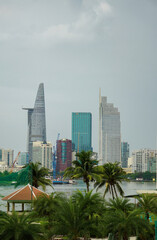 Ho Chi Minh City (Saigon) skyline with palm trees in the foreground, Vietnam
