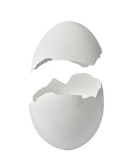 egg shell food white breakfast ingredient fragile protein half chicken part easter broken eggshell...