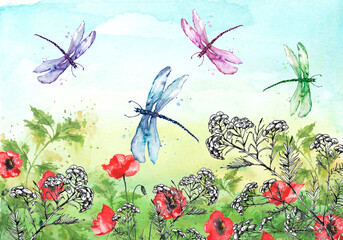 Watercolor illustration. Dragonfly flies on the background of greenery, grass. Immortelle plant, tansy, wild herbs. Abstract green paint splash.Red poppy.  Stylish drawing. Dragonfly
