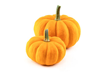 fresh orange pumpkin a couple of vegetables on an isolated background