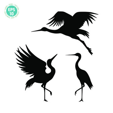 beautiful crane bird vector illustration