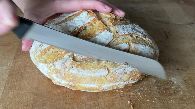 Hand schneidet appetitliches, leckeres, saftiges, selbst gebackenes frisches Brot mit einem Brotmesser, Sauerteigbrot aus Dinkelmehl mit Kruste	