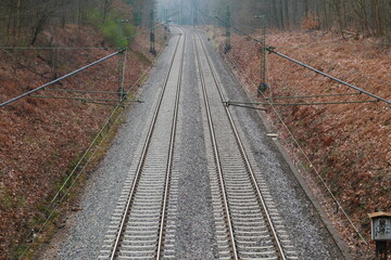 Railway track with two rails with left curve in the morning fog in the forest