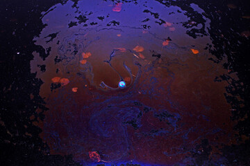 Pollution by waste of the planet Earth, which causes an ecological catastrophe and pose a threat to nature