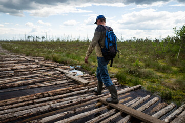 Hiking in a protected area of ​​raised bogs. A man with a backpack walks along a wooden path partially flooded with water. A path for moving through the swamp.
