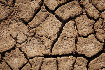 Texture of dry Earth as background. Top view of cracked soil. Global warming and climate changes concept