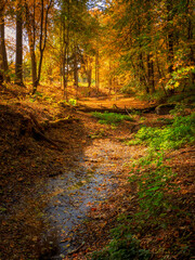 A dam in an old abandoned autumn park. Bright sunny autumn landscape with fallen maple leaves.