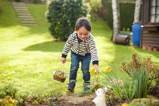 Young Child During The Easter Egg Hunt