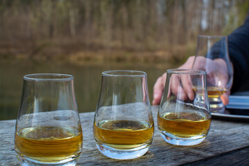 Tasting glasses of scotch whisky strong drink on old outdoor table with forest lake on background
