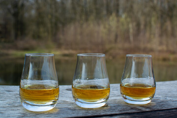 Tasting glasses of scotch whisky strong drink on old outdoor table with forest lake on background