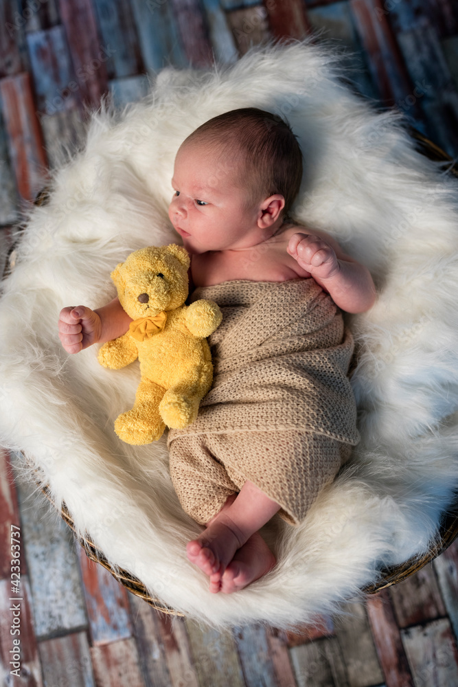 Wall mural Little baby, sleeping with teddy beer