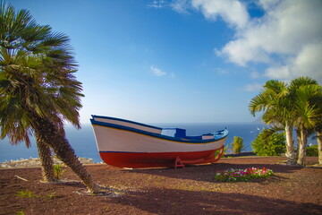 boat on the shore near the palm trees