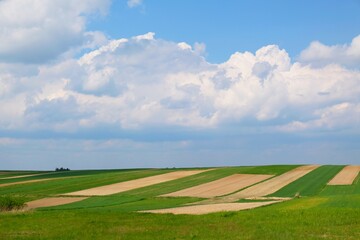 Beautiful fields in colorful stripes illuminated by the sun around Suloszowa on spring season, Jura region, Cracow-Czestochowa Upland, Silesia, Poland
