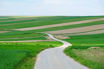 Beautiful fields in colorful stripes illuminated by the sun and a winding road between the fields around Suloszowa, Jura region, Cracow-Czestochowa Upland, Silesia, Poland